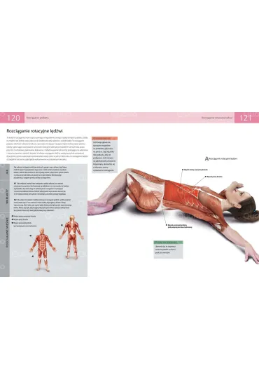 Anatomia stretchingu. 50 podstawowych �wicze� wzmacniaj�cych i zwi�kszaj�cych elastyczno�� - Ken Ashwell