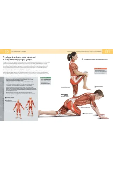 Anatomia stretchingu. 50 podstawowych �wicze� wzmacniaj�cych i zwi�kszaj�cych elastyczno�� - Ken Ashwell