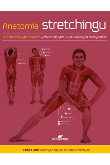 Anatomia stretchingu. 50 podstawowych �wicze� wzmacniaj�cych i zwi�kszaj�cych elastyczno�� - Ken Ashwell