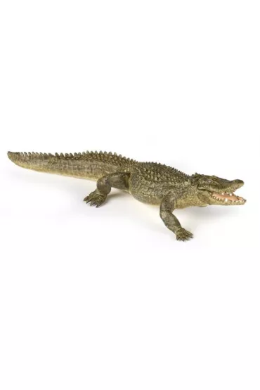 Aligator