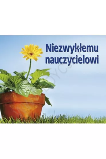 Niezwyk�emu nauczycielowi. Pere�ka 194