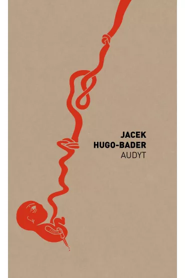 Audyt - Jacek Hugo-Bader