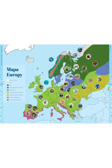 Moja pierwsza encyklopedia - zwierz�ta - Zesp� redakcyjny Wydawnictwa Greg