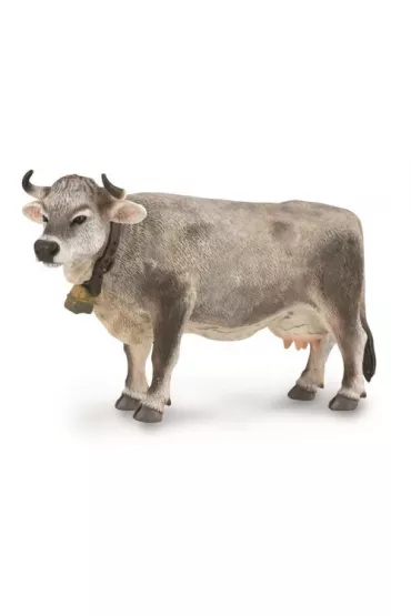 Krowa tyrolska szara