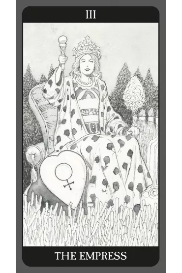 Dark Side Tarot Kit, ksi��ka i karty - Sasha Graham