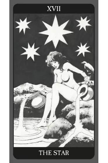 Dark Side Tarot Kit, ksi��ka i karty - Sasha Graham