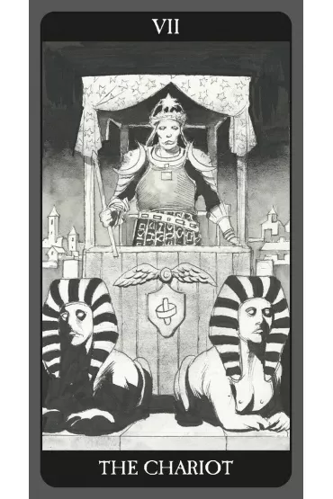 Dark Side Tarot Kit, ksi��ka i karty - Sasha Graham