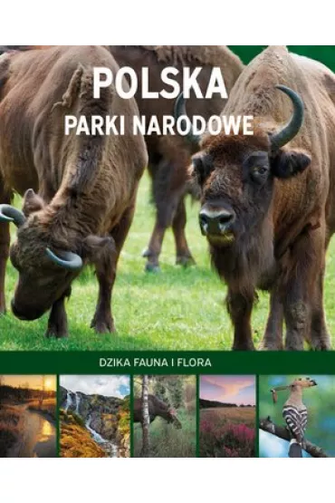 Polska Parki Narodowe. Dzika fauna i flora - Marcin Panek