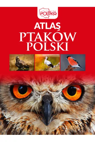 Atlas ptak�w Polski - Anna Przyby�owicz