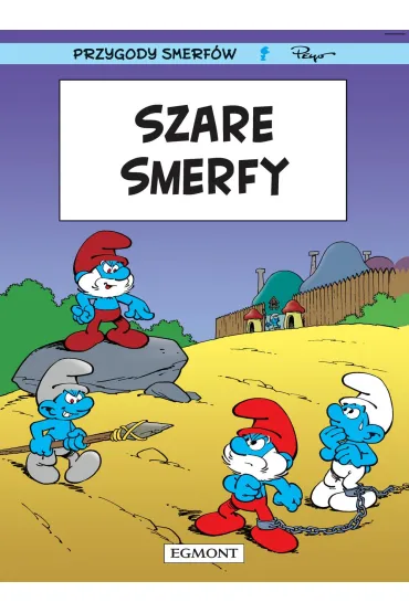 Szare Smerfy. Smerfy - Parthoens Luc, Thierry Culliford
