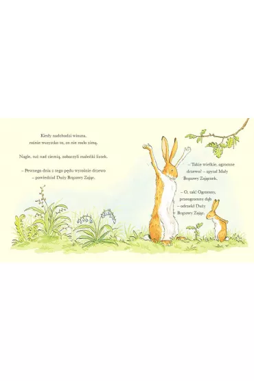 Nawet nie wiesz, jak bardzo ci� kocham kiedy jest wiosna - Sam McBratney, Anita  Jeram