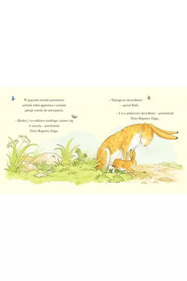 Nawet nie wiesz, jak bardzo ci� kocham kiedy jest wiosna - Sam McBratney, Anita  Jeram