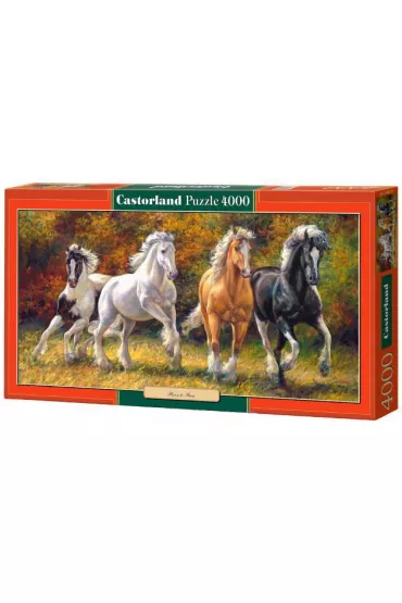 Puzzle 4000 el. Born to Run Castorland