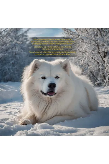 Kalendarze �cienne Kalendarz albumowy du�y 2026 Psy KAD-10