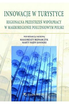 eBook Innowacje w turystyce. Regionalna przestrze wsppracy w makroregionie poudniowym Polski pdf