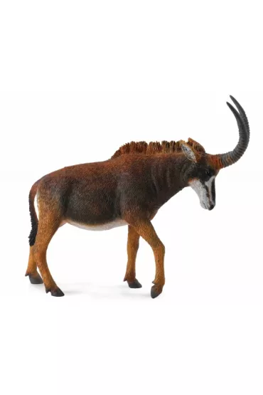 Antylopa gigant sable samica