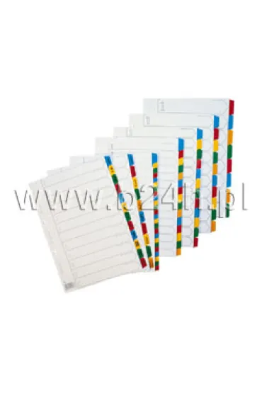 Przek�adki Tryton A4 kartonowe z laminowanymi indeksami 24 kolory
