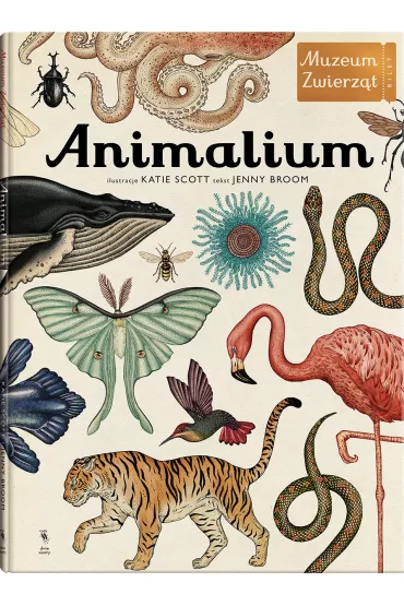 Animalium. Muzeum zwierz�t - Jenny Broom