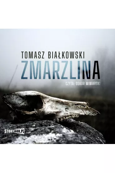 Audiobook CD Mp3 Zmarzlina - Tomasz Bia�kowski