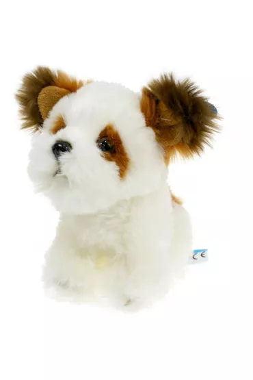 Pies Shih Tzu Dubi Plusz