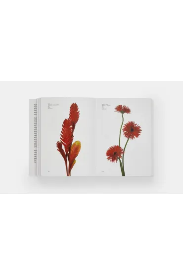 Flower Colour Guide - Michael  Putnam, Darroch Putnam