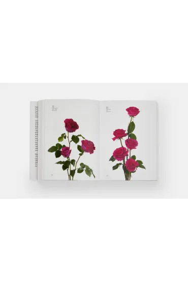Flower Colour Guide - Michael  Putnam, Darroch Putnam
