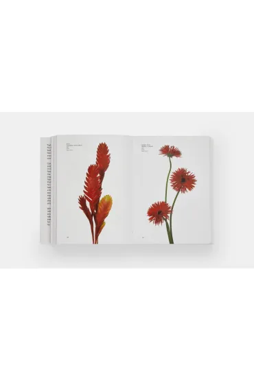 Flower Colour Guide - Michael  Putnam, Darroch Putnam