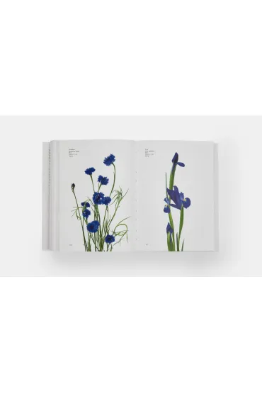 Flower Colour Guide - Michael  Putnam, Darroch Putnam