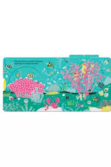 Ocean. Akademia Mdrego Dziecka. Niesamowity spacer - Nathalie Choux