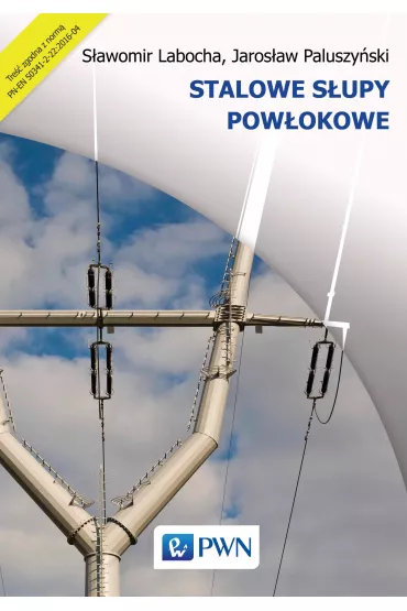 Stalowe s�upy pow�okowe - S�awomir Labocha, Jaros�aw Paluszy�ski
