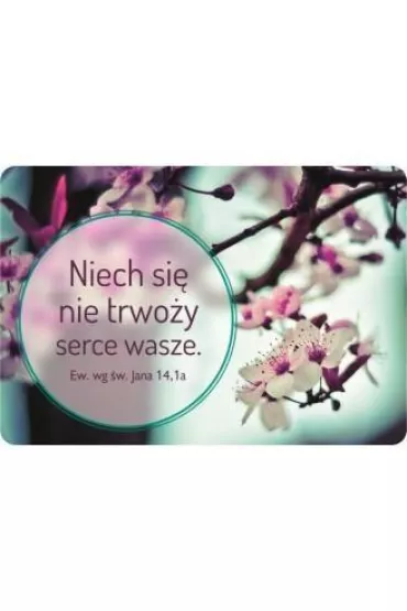 Szaron Magnes na lod�wk� - Niech si� nie trwo�y...