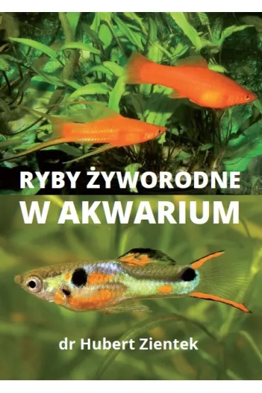 Ryby �yworodne w akwarium - Hubert  Dr Zi�tek