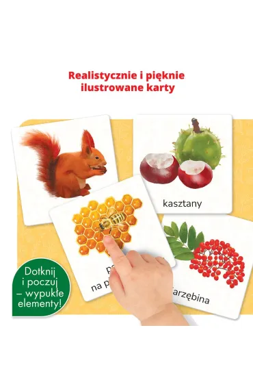 Przyroda. Montessori. Karty sensoryczne. Kapitan Nauka - Katarzyna  Do�hun