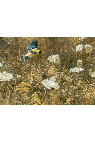 Puzzle 500 el. Szczygie� ameryka�ski Cobble Hill - Robert  Bateman