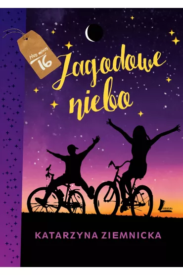 Jagodowe niebo - Katarzyna Ziemnicka