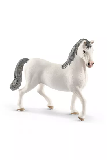 Ogier Lipizzaner