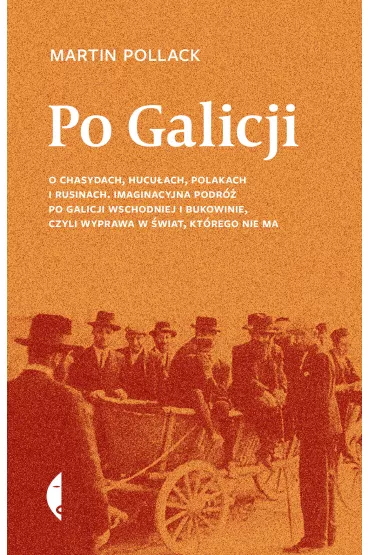 Po Galicji - Martin Pollack
