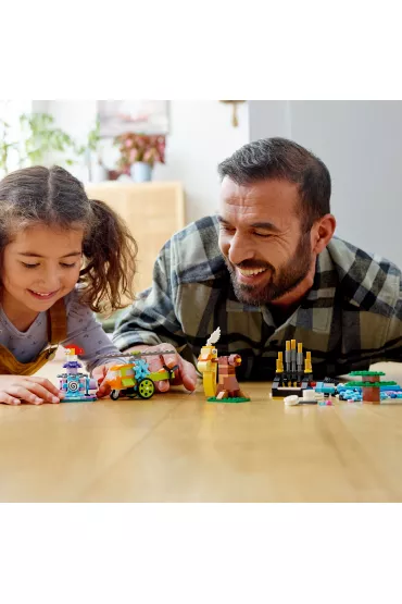 LEGO Classic Klocki i funkcje 11019