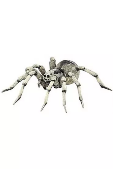 Tarantula