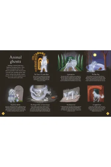 The Book of Mysteries, Magic, and the Unexplained  wer. angielska - Tamara  Macfarlane
