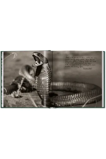 Peter Beard. The End of the Game - Peter  Beard
