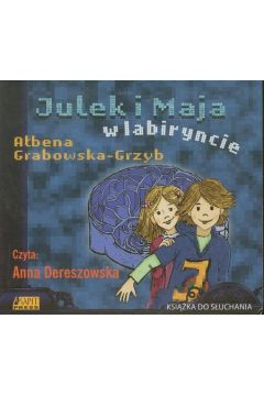 Audiobook Julek i Maja w labiryncie CD