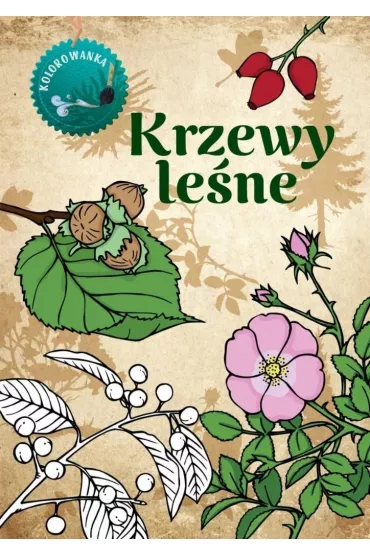 Krzewy le�ne. Kolorowanka - Katarzyna Kopiec-Sekieta