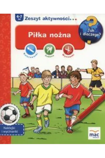 Pi�ka no�na jak i dlaczego - Anna Ko�at