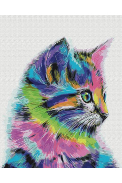 Symag Malowanie po numerach. Neonowy kot 40 x 50 cm