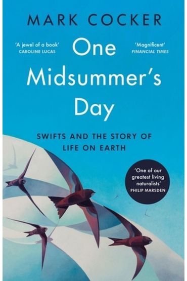 One Midsummer`s Day