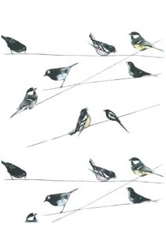 Museums & Galleries Karnet Garden Birds wallpaper z kopert 17 x 14 cm