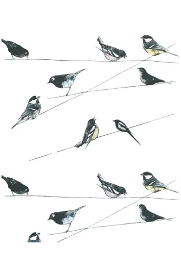 Museums & Galleries Karnet Garden Birds wallpaper z kopert� 17 x 14 cm