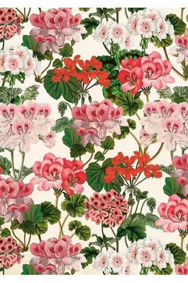 Skona Ting Karnet ST531 B6 + koperta Pelargonia