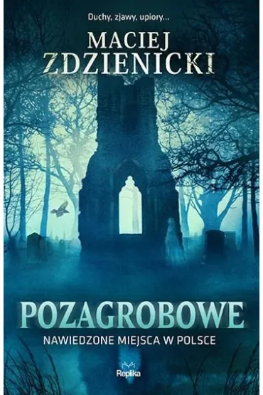 Pozagrobowe. Nawiedzone miejsca w Polsce - Maciej Zdzienicki